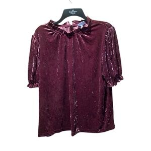The Get Velvet Puff Short Sleeve Top Purple XL